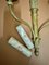 Empire Wandlampen von Maison Lucien Gau, Frankreich, 1940er, 2er Set 8