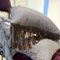 Dexter Cushion by by Sohil Design 5