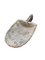 Swedish Hand-Carved Wooden Spade, 1850s, Image 7