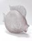 Figurine Poisson Scavo Vintage Rose en Verre, 1980s 5