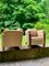 Set of Vintage Art Deco Chairs, 1920s 4
