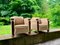 Set of Vintage Art Deco Chairs, 1920s 7