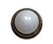 Antique Viennese Rail Ceiling Light by Otto Wagner 2