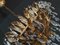 Vintage Italian Chandelier from Banci Firence 9