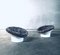 Space Age Krokus Pod Lounge Chairs by Lennart Bender for Dux, Sweden, 1968, Set of 2 4