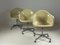 Fiberglass Armchair by Charles Eames for Herman Miller, 1960s 10