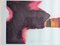 Paul Jenkins, Variations de Couleurs, 1987, Original Color Lithograph 5