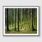 Guy Sargent, Loch Oich, Photograph 4