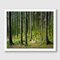 Guy Sargent, Loch Oich, Photograph 3