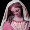 Guy Sargent, La Vierge Rose, Photographie 6