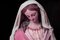 Guy Sargent, La Vierge Rose, Photographie 1
