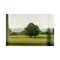 Guy Sargent, Le Jardin III, Photographie 3