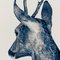 Guy Sargent, The Blue Marais, Photograph 5