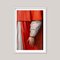Guy Sargent, Le Cardinal, Photographie 2