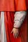 Guy Sargent, Le Cardinal, Photographie 1