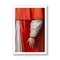 Guy Sargent, The Cardinal, Photograph 4