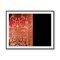 Guy Sargent, Chambord Damask, Photograph 5