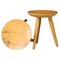 Mid-Century French Elm Wood Tabourets France, 1950s, Set of 2, Image 1