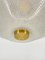 Ice Glass Ceiling Lamp from Peill & Putzler, 1950s 14