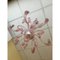 Murano Glas Kronleuchter in Rosa von Simoeng 8