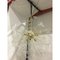 Murano Glass Sputnik Chandelier in Gold 24 Karat and Clear Butterfly by Simoeng 7