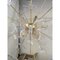 Murano Glass Sputnik Chandelier in Gold 24 Karat and Clear Butterfly by Simoeng 3