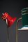 Mid-Century Modern Italian Red Green and Yellow Floor Lamp, 1950 12