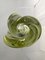 Vintage Vase from René Delvenne for Val Saint Lambert, 1950s 6