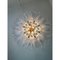 Sputnik Murano Style Glass Palmetta Chandelier by Simoeng 4