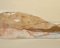 Marilina Marchica, Paperlandscape, Huile sur Toile 6