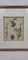 Botanischer Teller aus Kiefernholz, 1800er, Gravur, Gerahmt 2