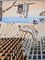 Salvador Dali, Disintegration of the Persistence of Memory (Melting Clocks), Signed Color Lithograph, 1985 9