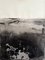 Marilina Marchica, Landscape BW, 2022, Mineral Oxide on High-Quality Paper 1