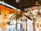 Brass Palm Pendant Light, Image 14
