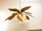 Brass Palm Pendant Light, Image 10