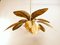Brass Palm Pendant Light, Image 36