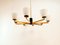 Vintage Chandelier with Glass Cones 22