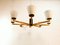 Vintage Chandelier with Glass Cones 9