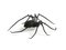 Italian Mid-Century Modern Spider Wall Decoration in Iron, 1950s 5