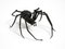 Italian Mid-Century Modern Spider Wall Decoration in Iron, 1950s 4