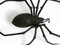 Italian Mid-Century Modern Spider Wall Decoration in Iron, 1950s 9