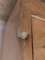 Victorian Pine Chest of Drawers, Image 8