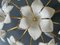 White Daisies Murano Ceiling Light, 1980s 4