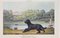 Joseph Banks, Muff, A Favorite Retriever, Etching, 1837, Image 1