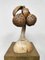 Vintage Tischlampe aus Kokospalmen, 1980er 4