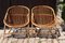 Set of Rattan Armchairs by Audoux-Minet, 1950 1