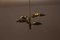 Chandelier with Perforated Brass Leafs by A. Lelii, Italy, 1950s 21