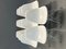 DSR Chairs by Vitra, Set of 11, Image 3