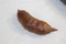Wooden Fruits and Tray, Set of 8, Image 11