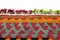 Anatolian Handwoven Plant-Dyed Kilim Rug, 1970s 6